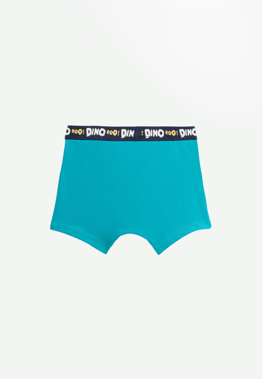 Lot de 2 boxers garçon Dino
