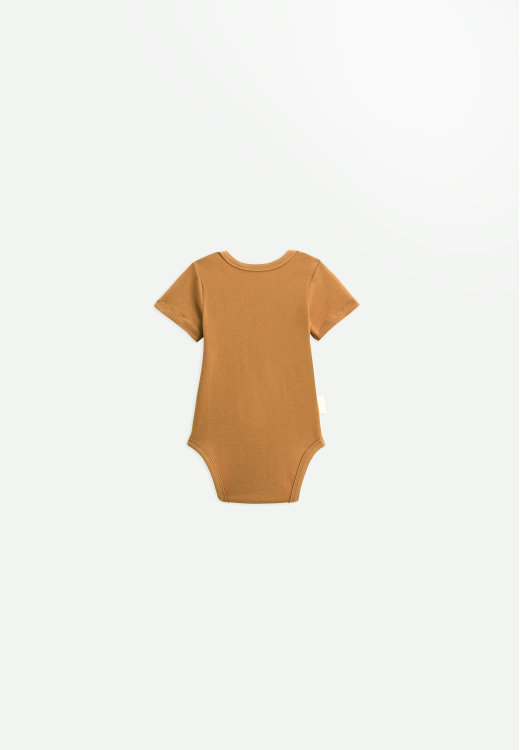 Lot de 2 bodies bébé manches courtes Tango dos