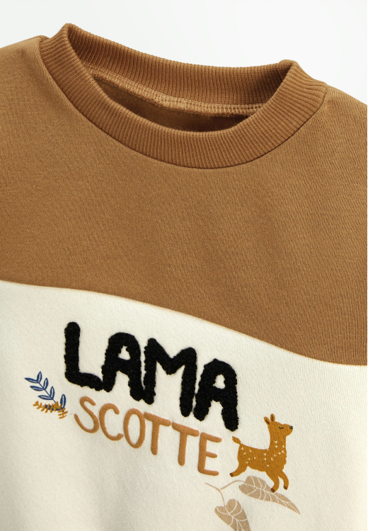 Sweat-shirt enfant en molleton Lamascotte